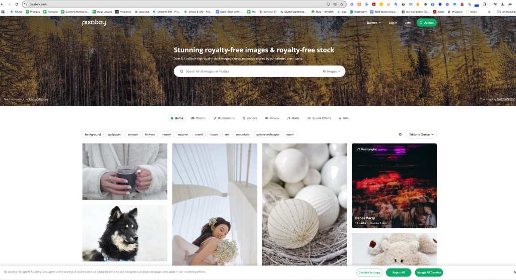 Pixabay homepage with royalty-free images: woman, dog, ornaments, music playlist banner, and search bar for free stock photos.